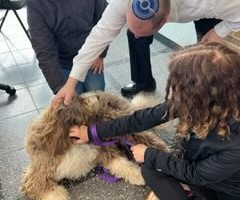 Blessing of the Pets - October 15,  2023