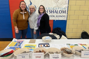 CBS at the Northbrook Cultural Fair - February 22, 2026