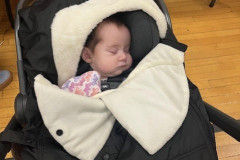 f127c303-358e-41cc-b9b8-d7f4952d2b38