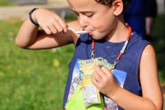IMG_0017